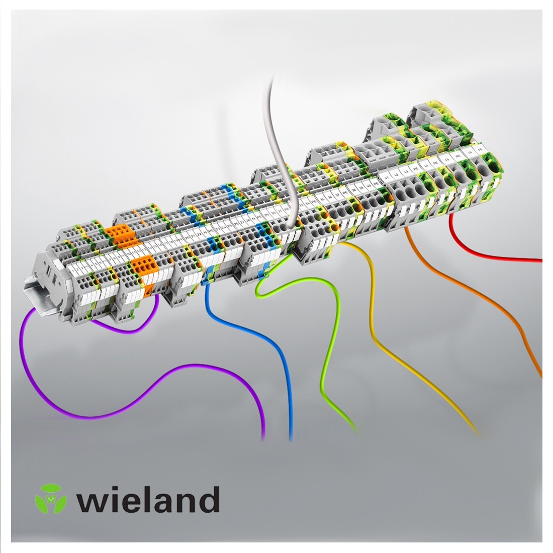 Wieland